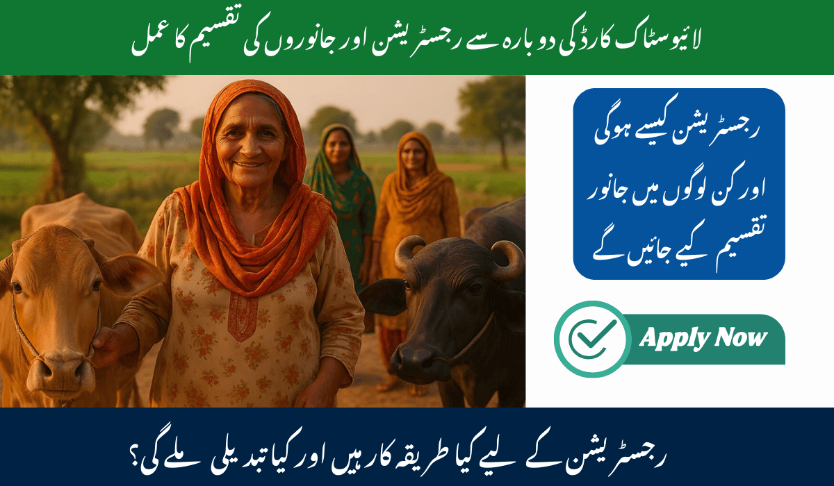 Livestock Distribution Program Punjab: Empowering Rural Women with Free Cows and Buffaloes in 12 Districts