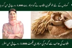 Punjab Sets Wheat Procurement Price at Rs. 3,000 Per Maund