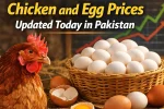 Chicken and Egg Prices Updated Today in Pakistan